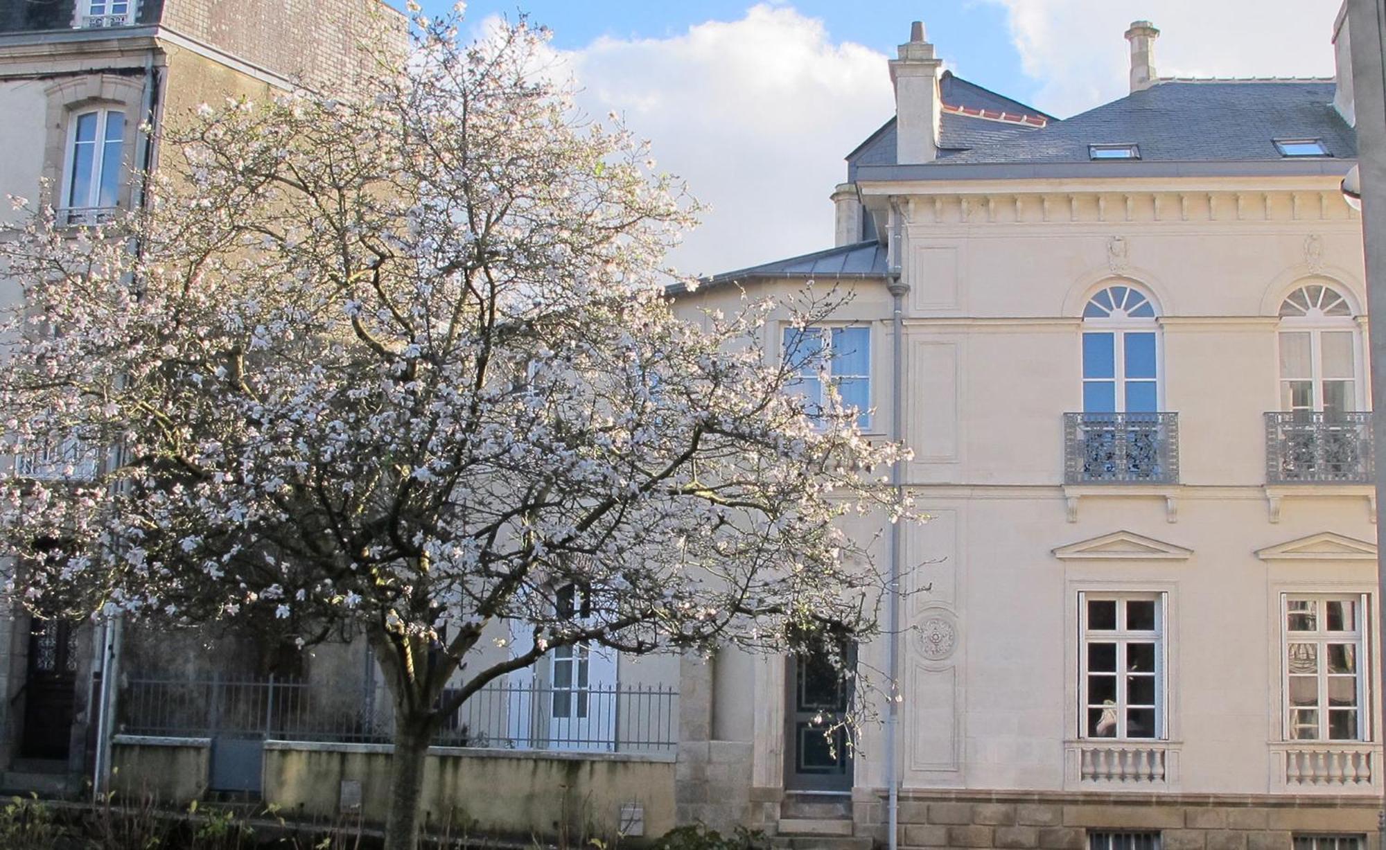 Une Suite A Vannes Esterno foto